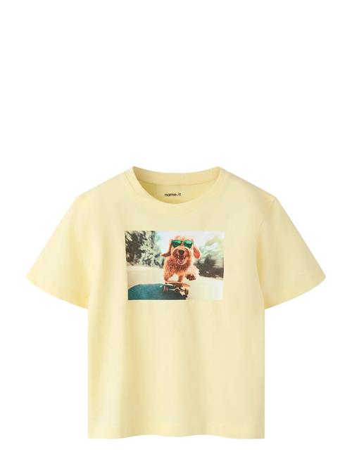 name it | Nmmvoto Ss Nreg Top | 116