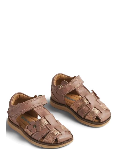 Wheat | Sandal Sky Flower | 25