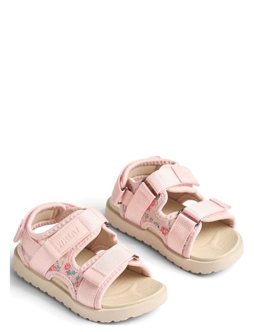 Wheat | Sandal Mandy | 26