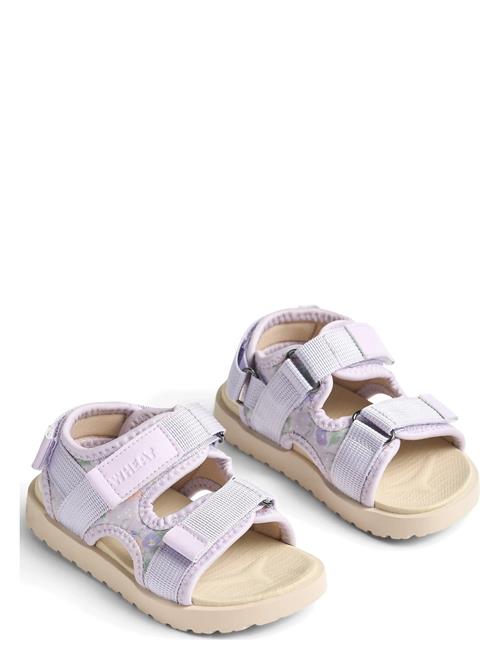Wheat | Sandal Mandy | 32