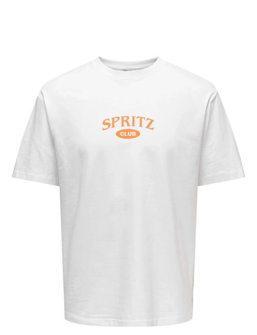 ONLY & SONS | Onsspritz Italy Rlx Ss Tee | S