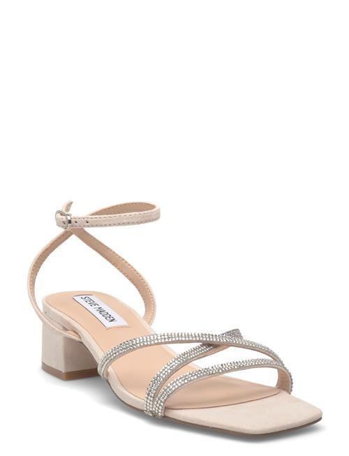 Steve Madden | Gabby | 41