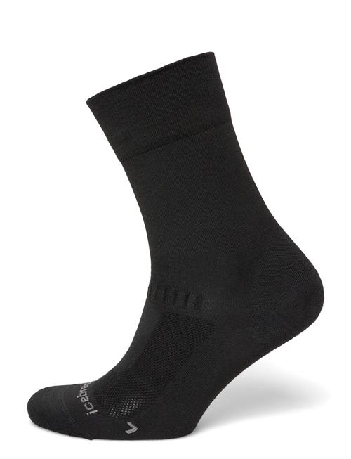 Icebreaker | Women Merino Hike+ Liner Crew | L