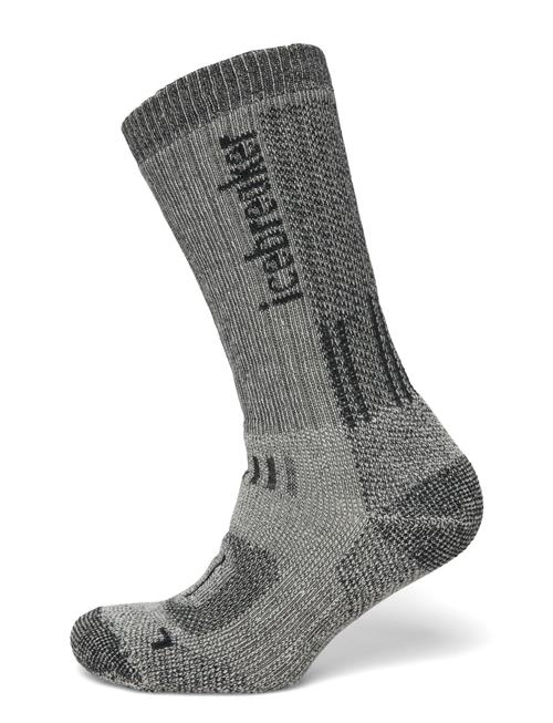 Icebreaker | Men Merino Hike+ Mountaineer Mid Calf | L
