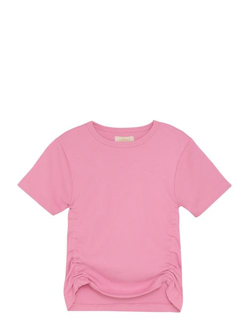 Creamie | T-Shirt Ss Rib | 110