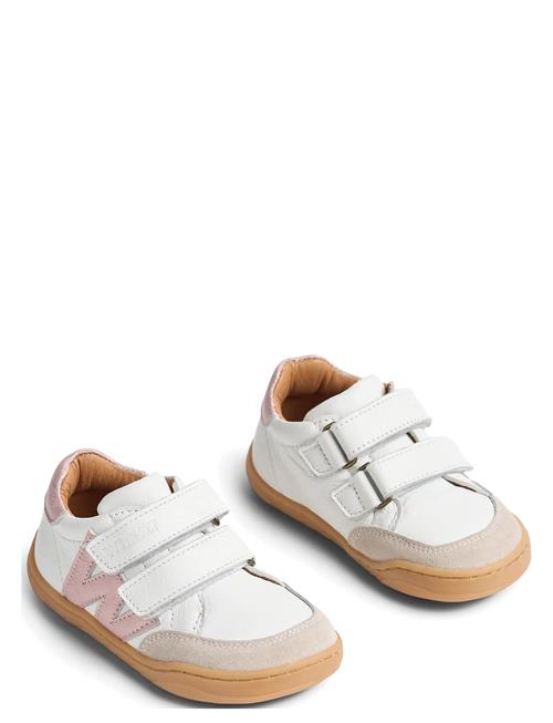 Wheat | Sneaker Barres | 25