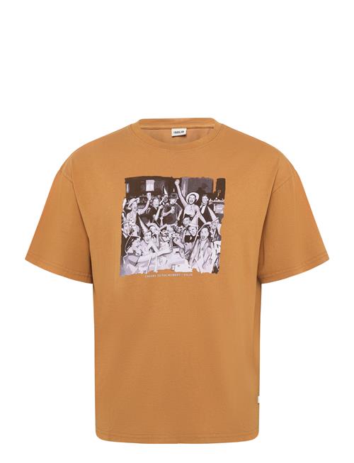 Solid | Sdrian | XXL