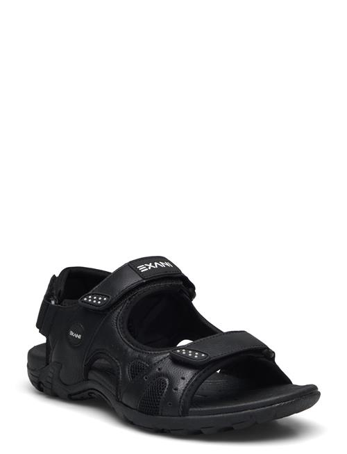 Exani | Spider Pro W | 38