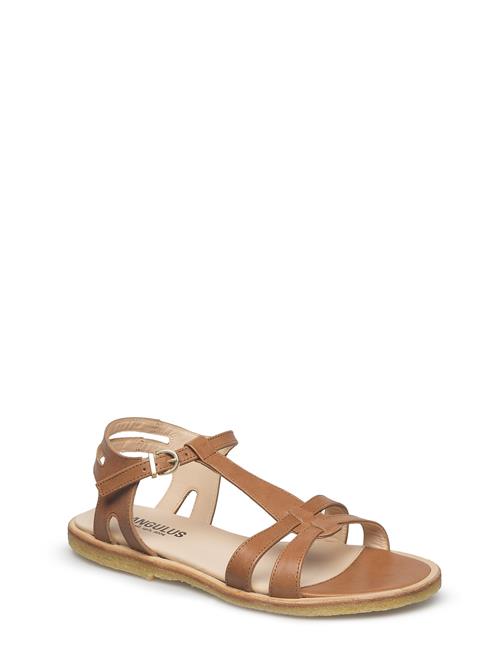 ANGULUS | Sandals - Flat | 39.5