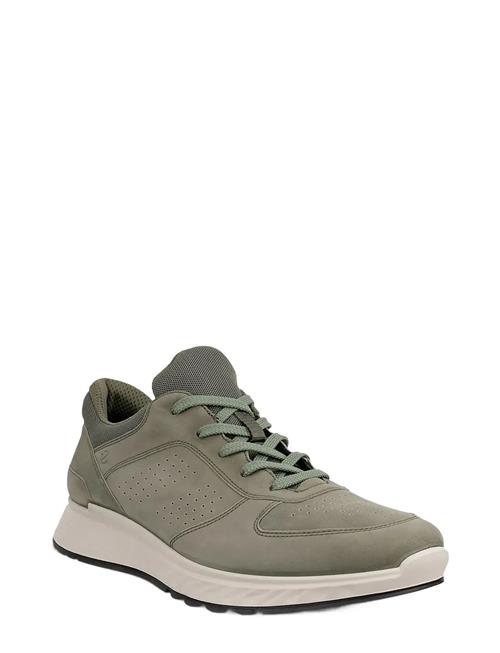 ECCO | Exostride M | 43