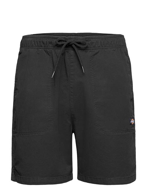 Dickies | Pelican Rapids | XXL