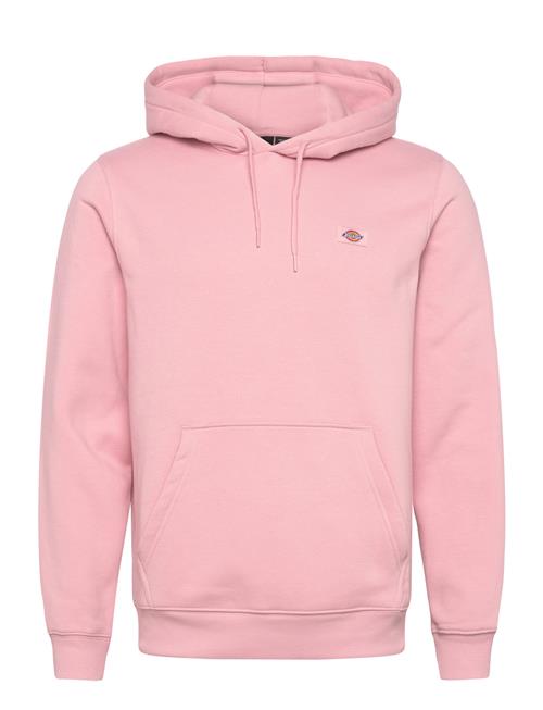 Dickies | Oakport Hoodie | XL