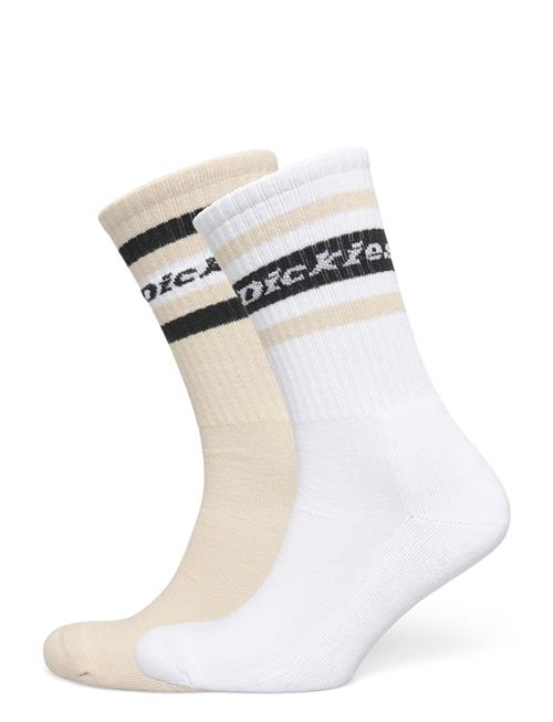 Dickies | Genola | 11-13