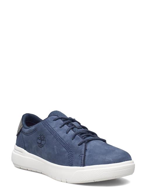 Timberland | Seneca Bay Low Lace Up Sneaker Dark Denim | 50