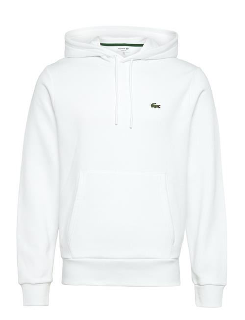 Lacoste | 1Hs1 Men's Sweatshirt | XXL