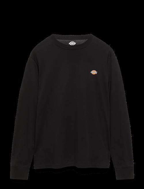 Dickies | M Ls Mapleton Tee | XS