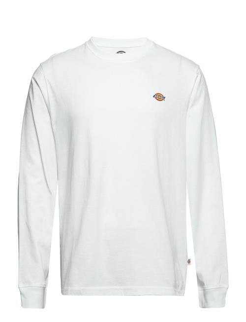 Dickies | M Ls Mapleton Tee | S