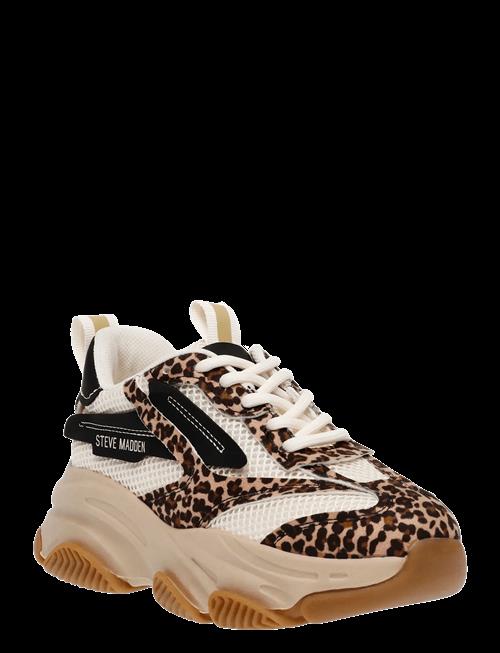 Steve Madden | Jpossession Sneaker | 31