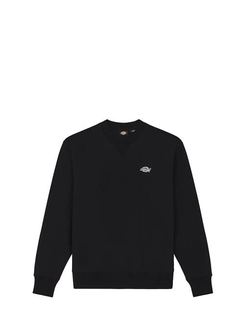 Dickies | M Summerdale Sweatshirt | XL