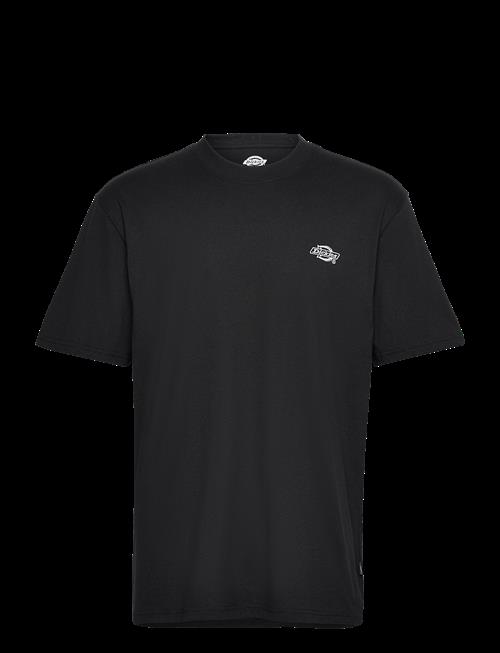 Dickies | Summerdale Ss Tee | XS