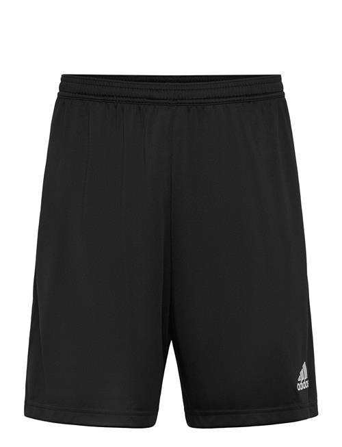 adidas Performance | Ent22 Tr Sho | L