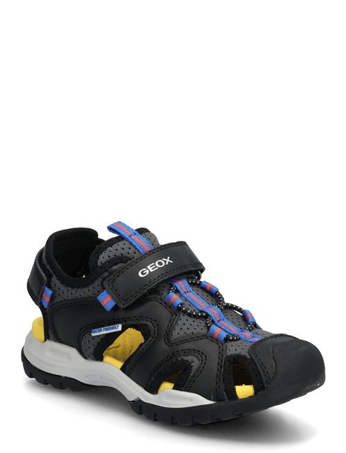 GEOX | J Borealis Boy C | 30
