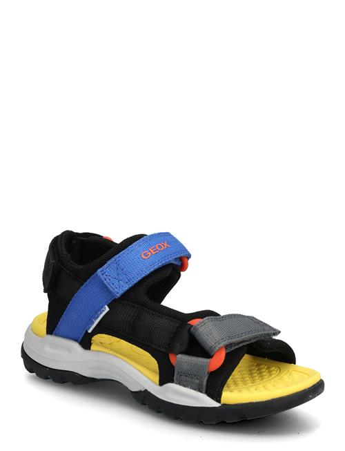 GEOX | J Borealis Boy E | 30