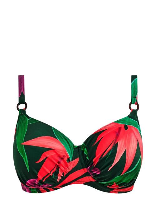 Fantasie | Pichola | G x 75