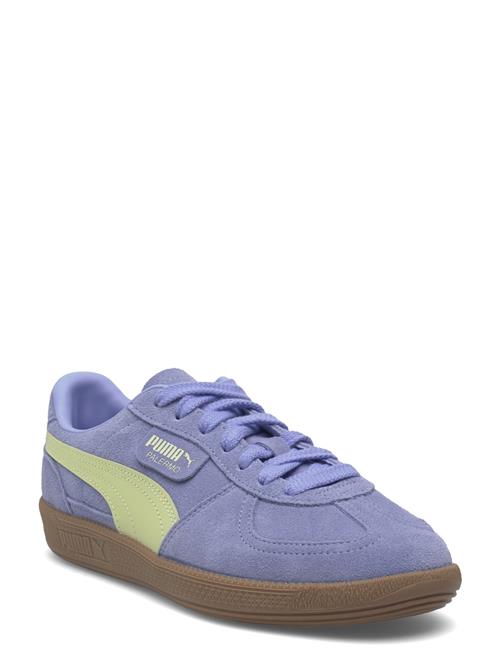 Se PUMA | Palermo | 44 hos Booztlet