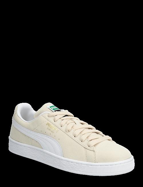 PUMA | Suede Classic | 43