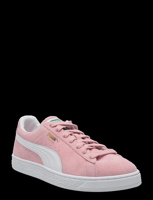 PUMA | Suede Classic | 36
