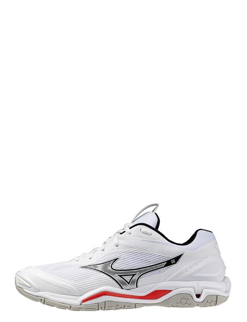 Mizuno | Wave Stealth 6(U) | 40.5