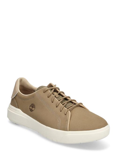 Timberland | Seneca Bay Low Lace Up Sneaker Petrified Oak | 42