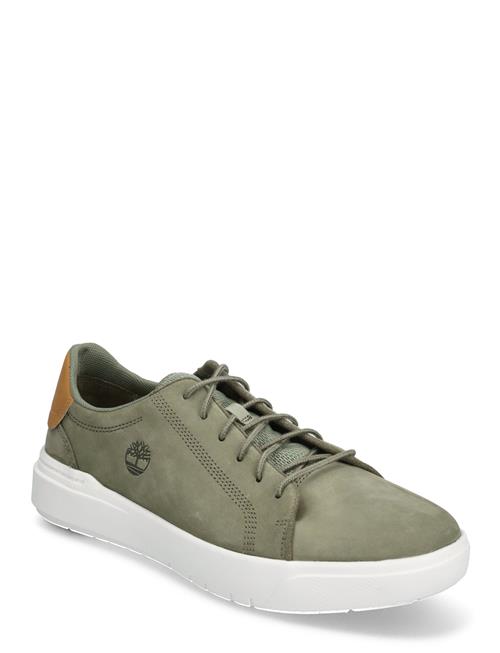 Timberland | Seneca Bay Low Lace Up Sneaker Deep Lichen Green | 42
