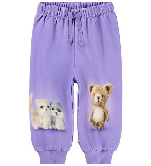 Molo Sweatpants - Simeon - Buddies