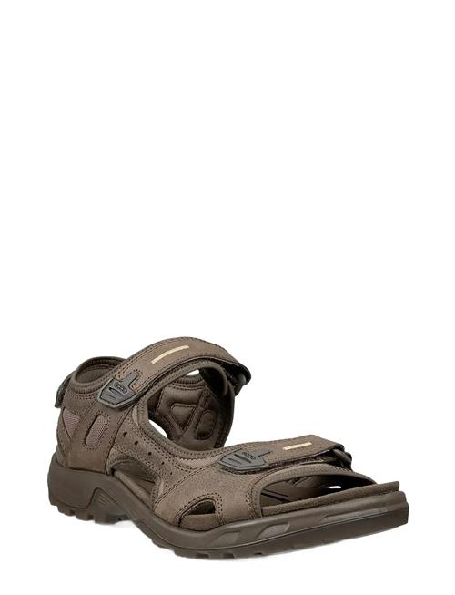Se ECCO | Offroad | 45 hos Booztlet