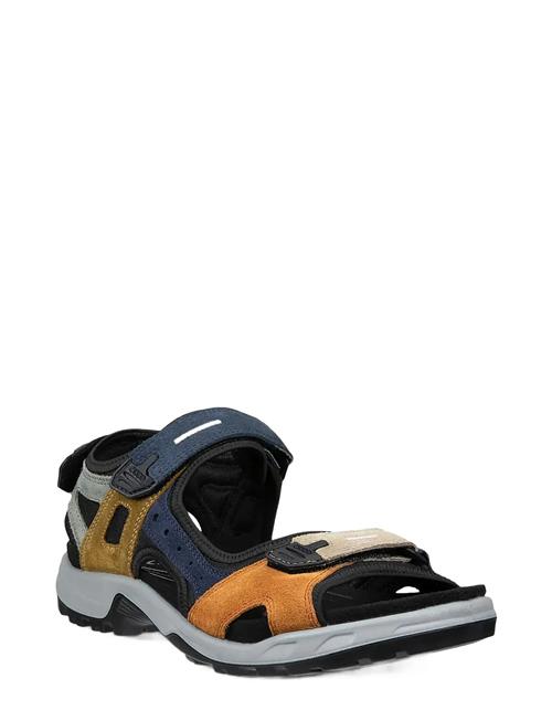 ECCO | Offroad | 48