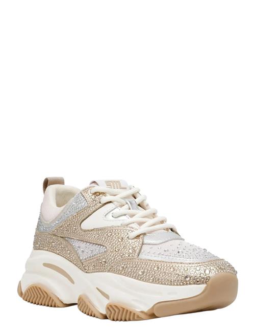 Steve Madden | Jprivy | 33