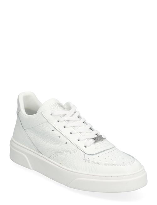 Steve Madden | Brent Sneaker | 42