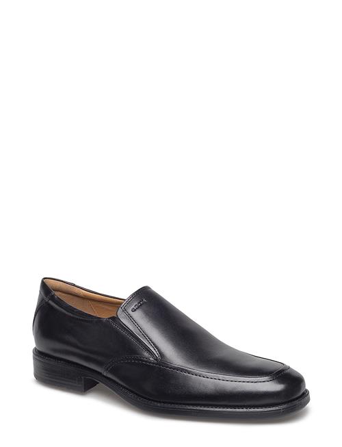 GEOX | U Federico Z | 41
