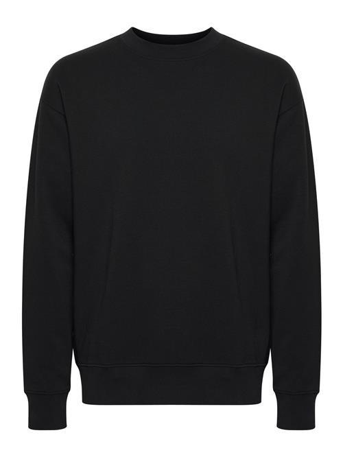 !Solid Sweatshirt 'SDLenz'  sort