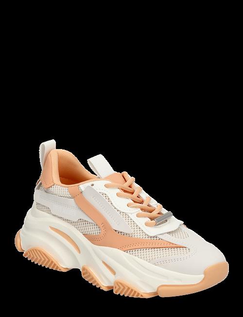 Steve Madden | Possession-E | 40