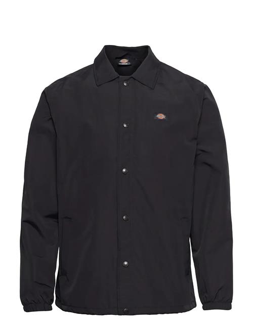 Dickies | M Oakport Coach Jacket | XXL