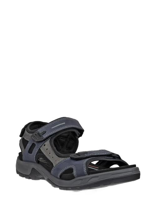 ECCO | Offroad | 49