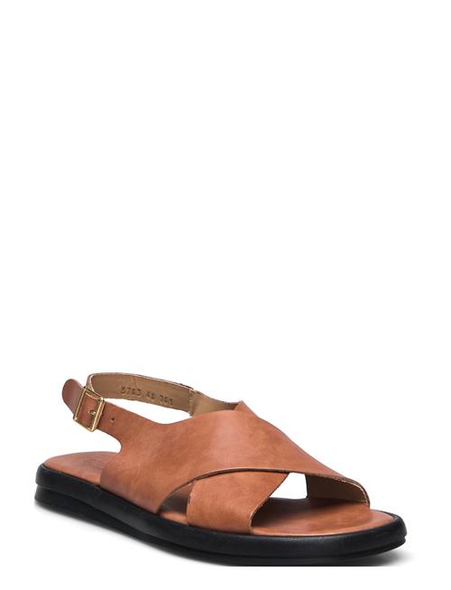 ANGULUS | Sandals - Flat | 38