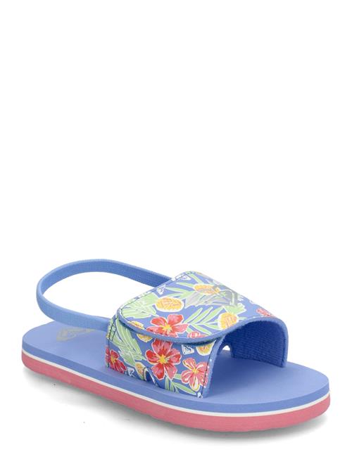 Roxy | Tw Finn | 22