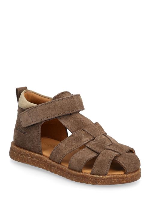 ANGULUS | Sandals - Flat  - Closed Toe | 21