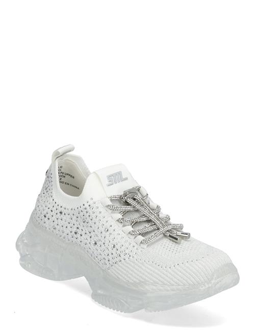 Steve Madden | Meter Sneaker | 40