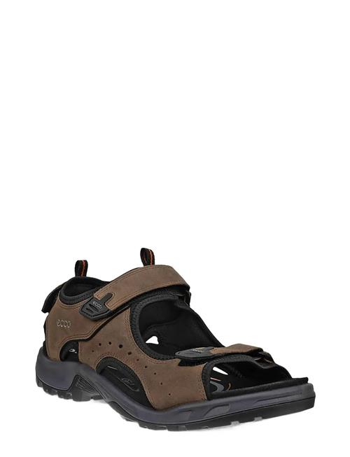 ECCO | Offroad | 48
