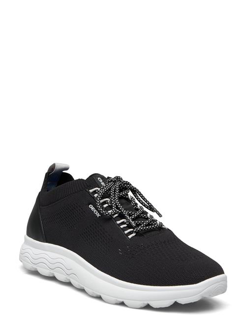 GEOX | U Spherica A | 43